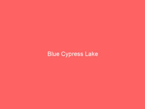 Blue Cypress Lake
