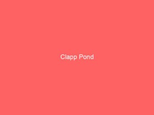 Clapp Pond