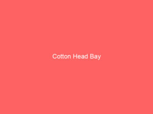 Cotton Head Bay