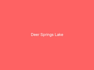 Deer Springs Lake