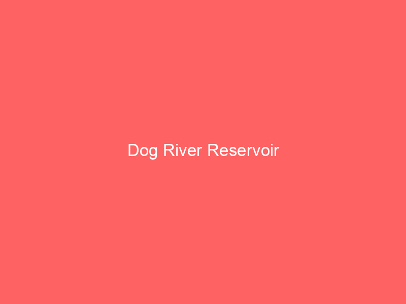 Dog River Reservoir information and guide Lakefront Home Finder