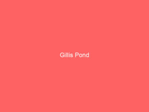 Gillis Pond