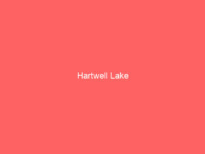 Hartwell Lake