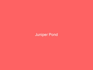 Juniper Pond