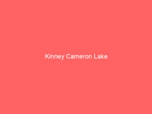 Kinney Cameron Lake