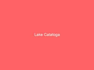Lake Catatoga