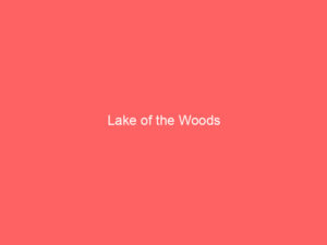 Lake of the Woods