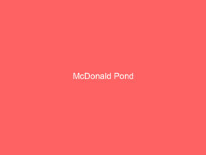 McDonald Pond