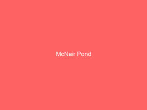 McNair Pond