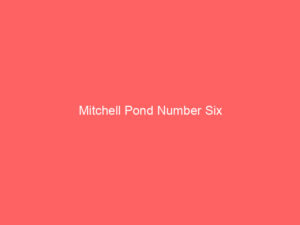 Mitchell Pond Number Six