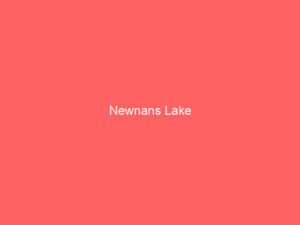 Newnans Lake