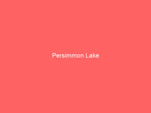 Persimmon Lake