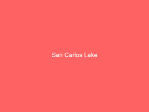 San Carlos Lake