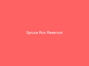 Spruce Run Reservoir