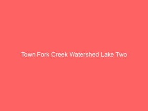 Town Fork Creek Watershed Lake Two