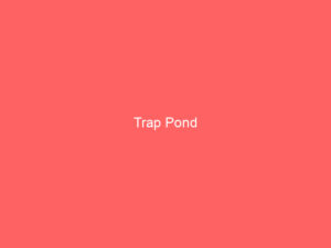 Trap Pond