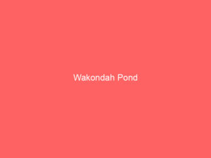 Wakondah Pond